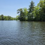 Neponset Reservoir.jpg
